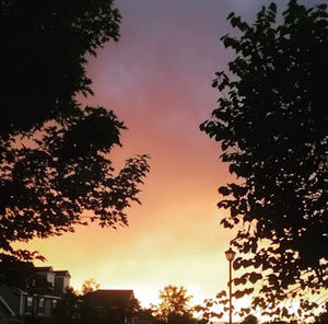 Meet your Posher, Lola